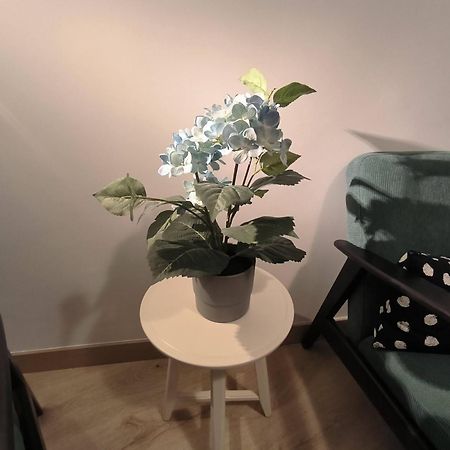 Apartamento Zabala Conoce Bilbao Desde Dentro Ngoại thất bức ảnh
