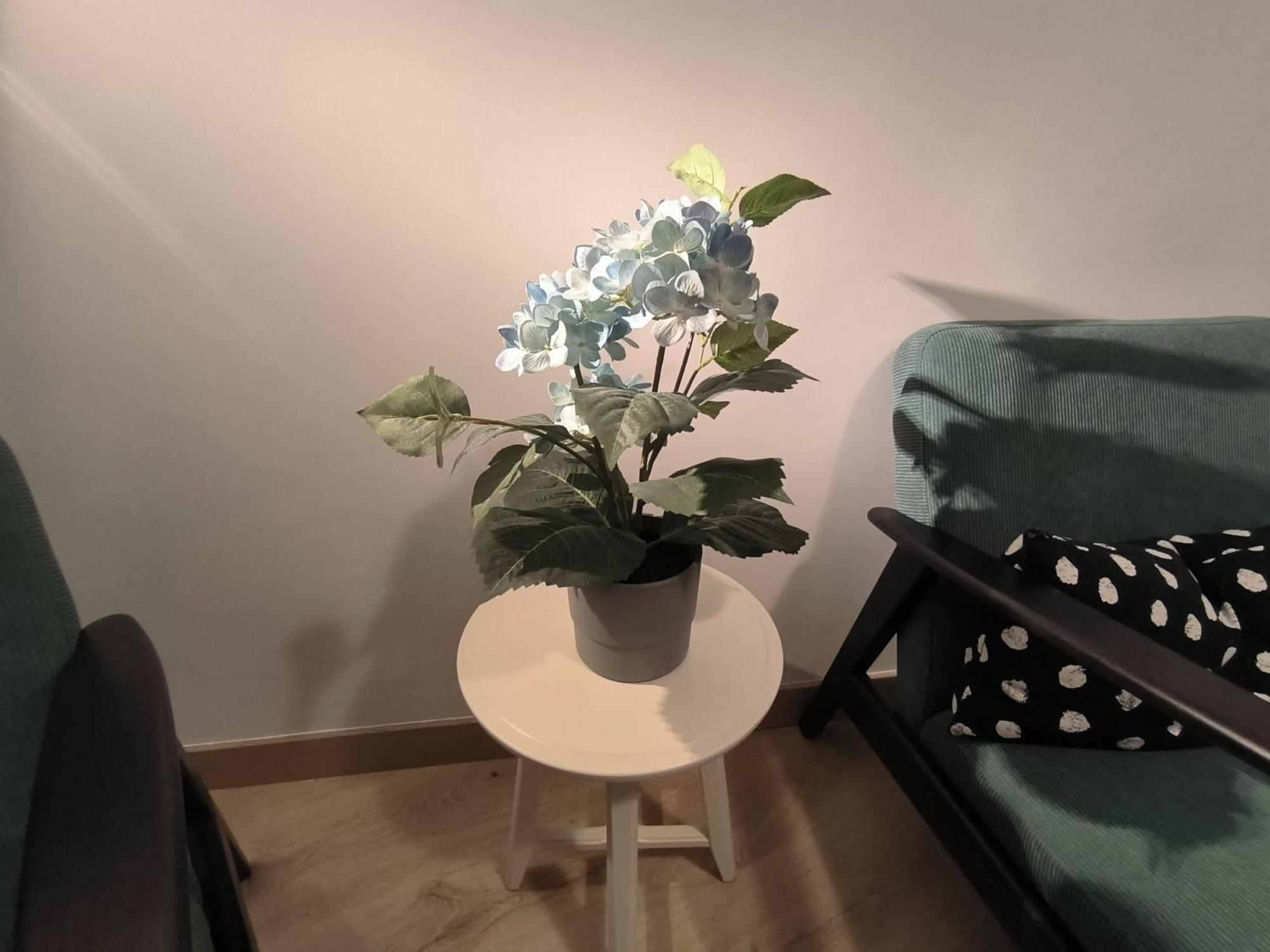 Apartamento Zabala Conoce Bilbao Desde Dentro Ngoại thất bức ảnh